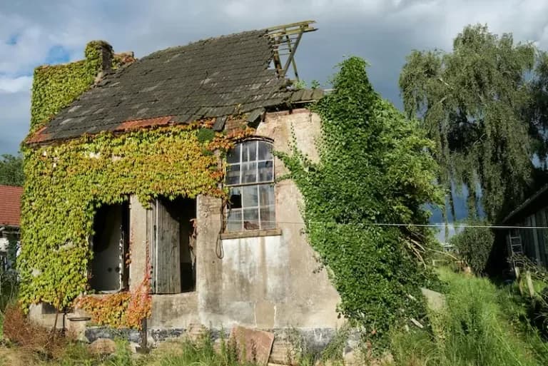  barn tile roof thatch thatched roof boathouse-0
