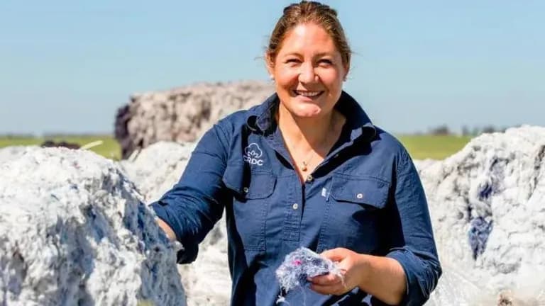  stone wall swab swob mop hay komondor-0