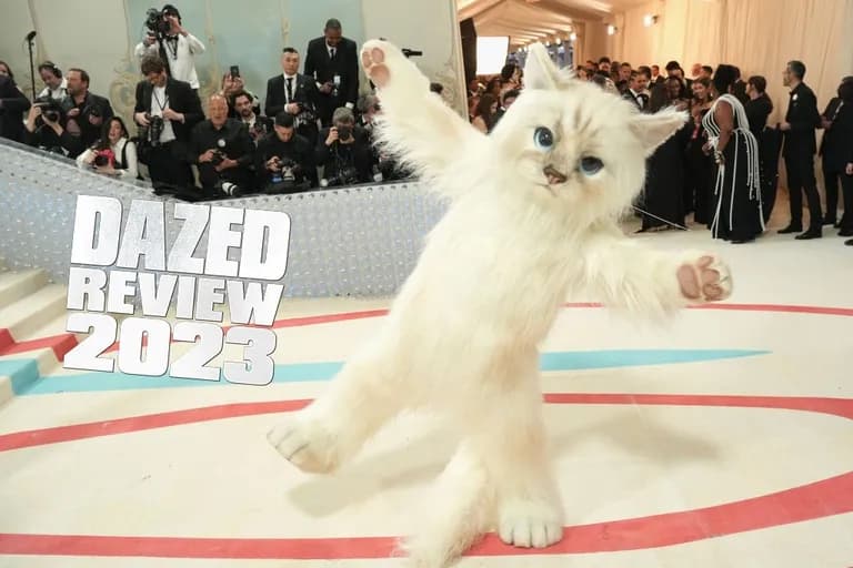  Persian cat lynx catamount Egyptian cat Angora Angora rabbit-0