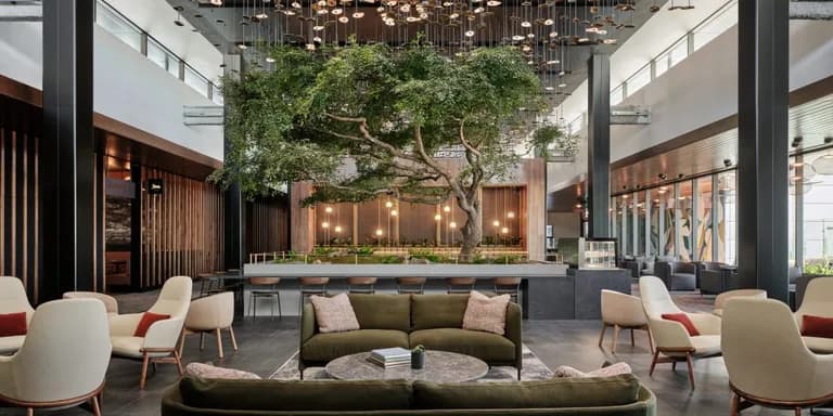  restaurant eating house eating place eatery patio terrace dining table board studio couch day bed-0