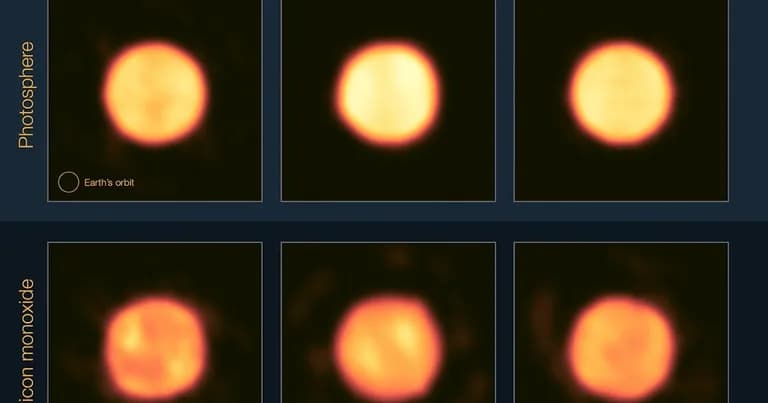  jack-o'-lantern spotlight spot traffic light traffic signal stoplight nematode nematode worm roundworm-0