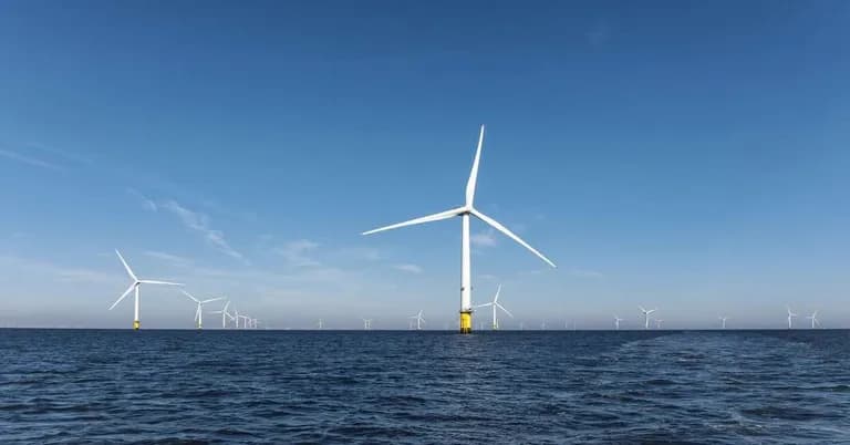  rapeseed lakeside lakeshore electric fan blower seashore coast seacoast sea-coast-0