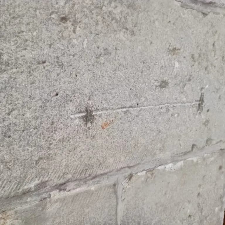  syringe nail ant emmet pismire broom-0